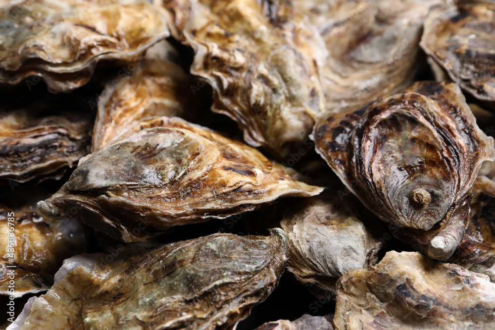 Fresh closed oysters as background, closeup view Fresh closed oysters as background, closeup view