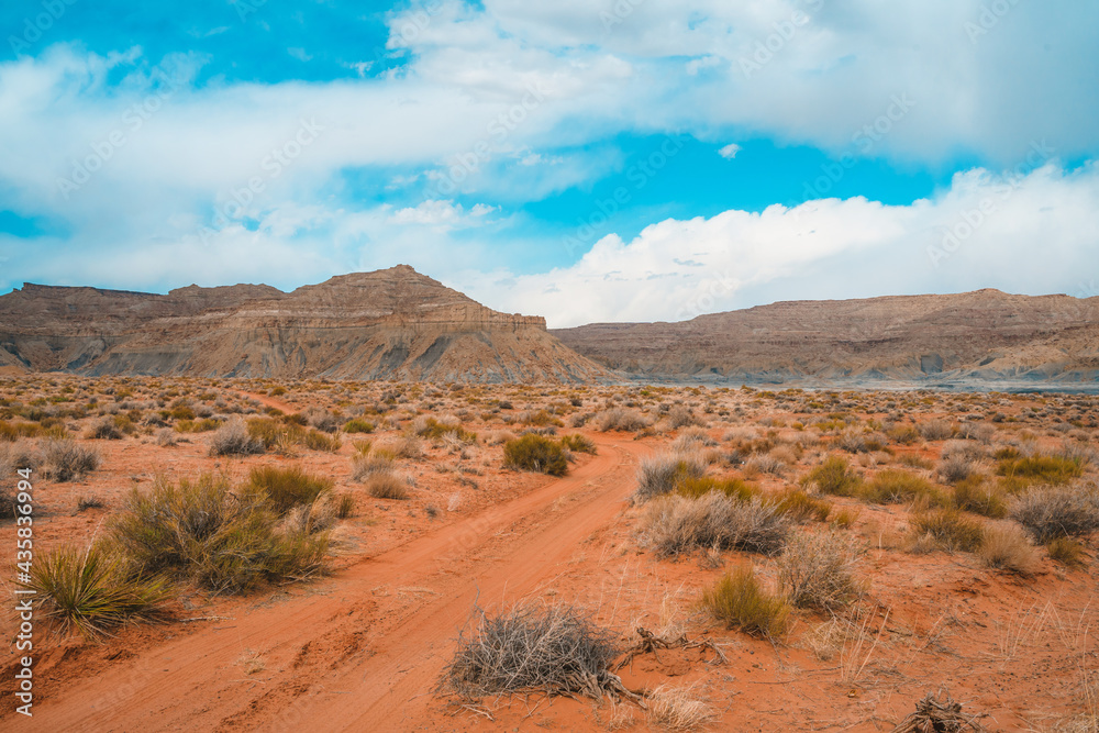 Orange amazing panoramic landscape in Utah, rocky landscape in Alstrom Point, USA Orange amazing panoramic landscape in Utah, rocky landscape in Alstrom Point, USA