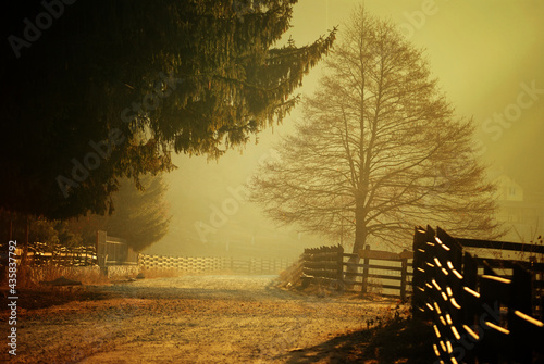 Golden Morning Haze over a part of Poiana Marului, Romania. photo