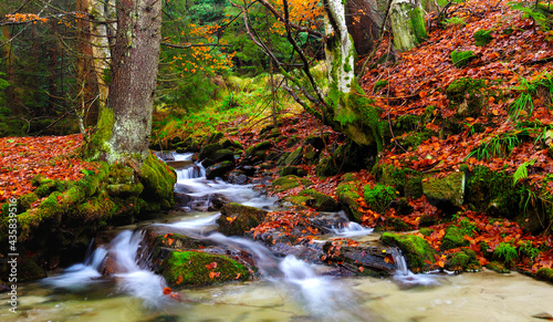 Autumn landscape, mountain river and trees
