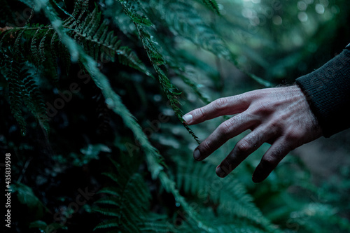 Hand, Nature