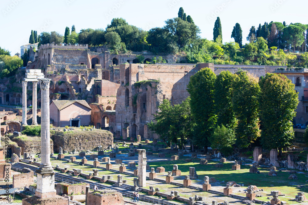 Forum Romanum, view of the ruins of several important ancient  buildings, Rome, Italy