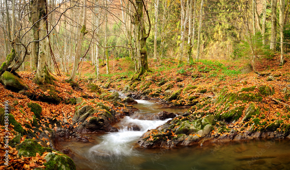 Panorama of mountain river in late Autumn