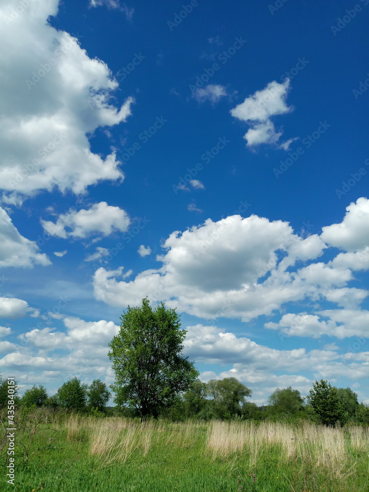 field and blue sky