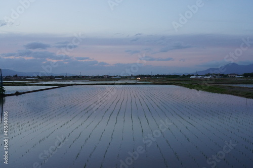 drama sky and Paddy field