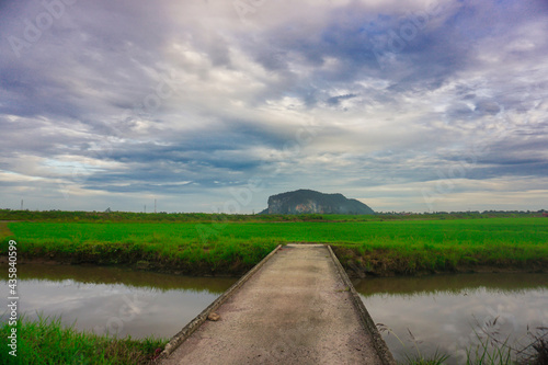 the river in the countryside of Malaysia