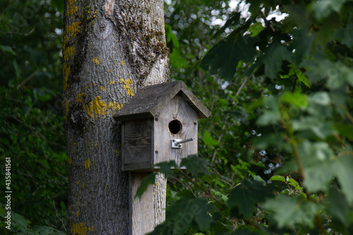 Vogelhaus am Baum