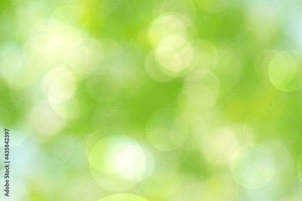 Abstract green background blur Abstract green background blur