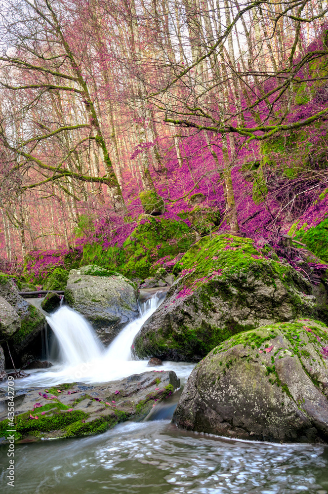 Beautiful waterfall in forest, autumn landscape Beautiful waterfall in forest, autumn landscape