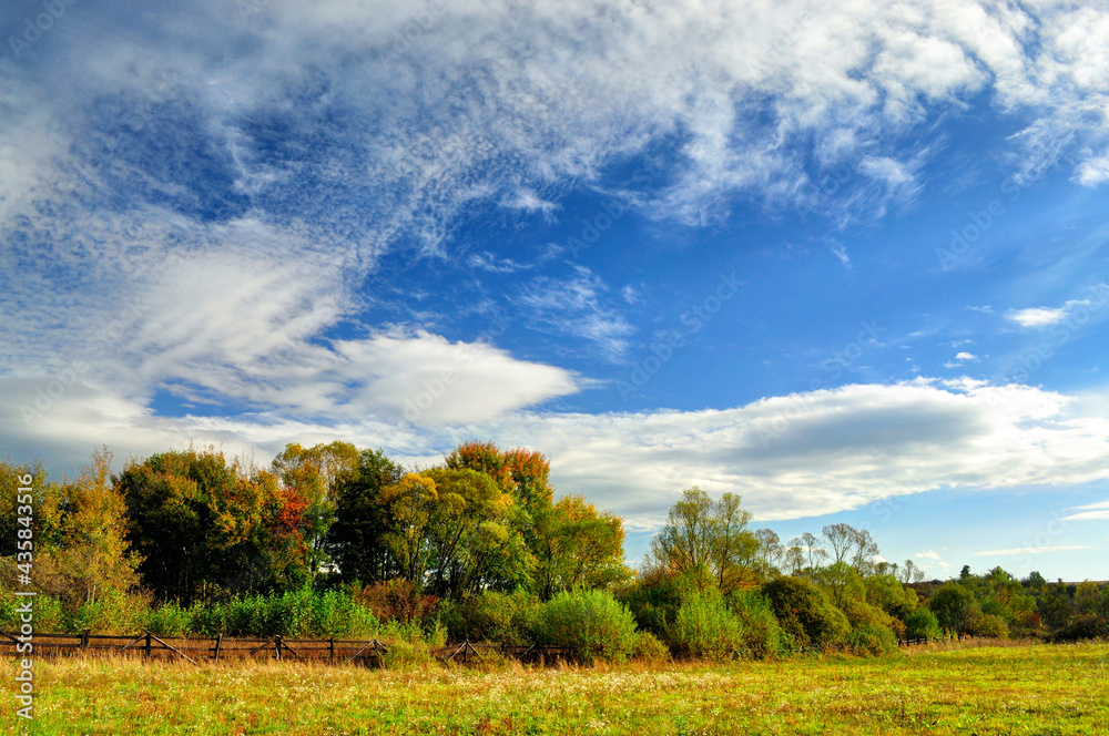 Autumn landscape with colorful forest and bright blue sky