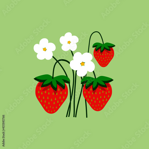 red strawberries with white flowers on a light green background. hand-drawn drawing. collage, sticker, print. children's poster.