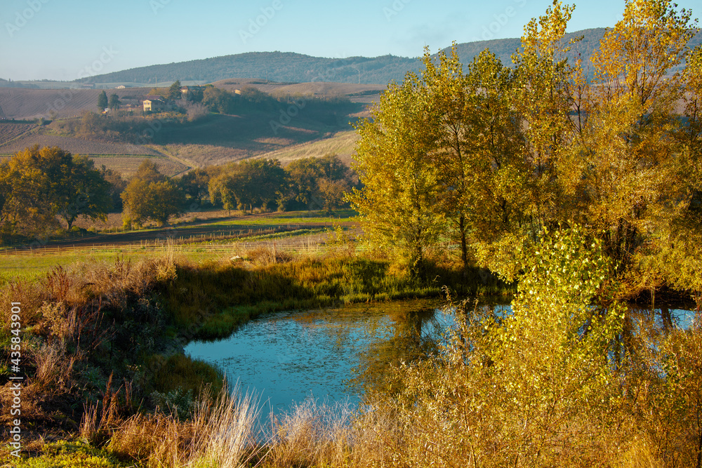 landscape with pond and trees in Tuscany, Italy in summer landscape with pond and trees in Tuscany, Italy in summer