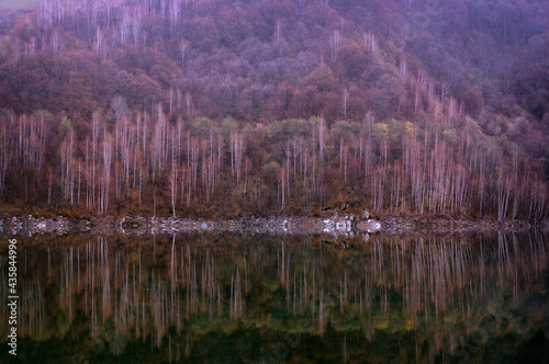 Lake and forest reflection scene in late Winter © Mihai
