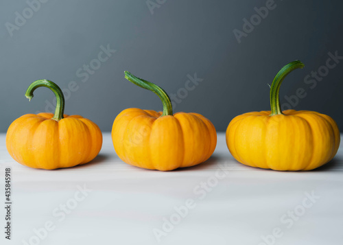 фотографія Pumpkin lined up