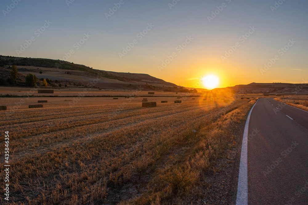 empty road crossing agricultural field at sunset