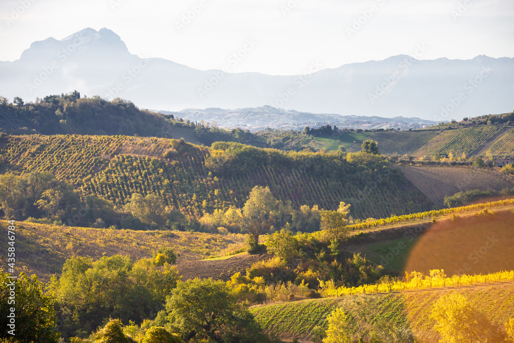 Vineyards and winery in a valley, farming and wine pruduction