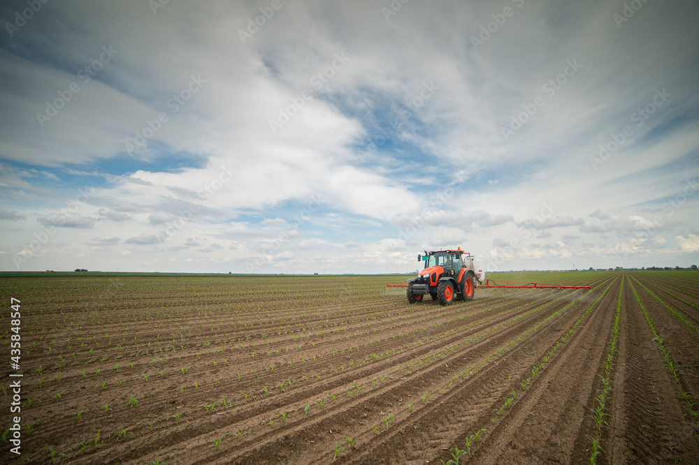Tractor spraying pesticides at corn fields Tractor spraying pesticides at corn fields