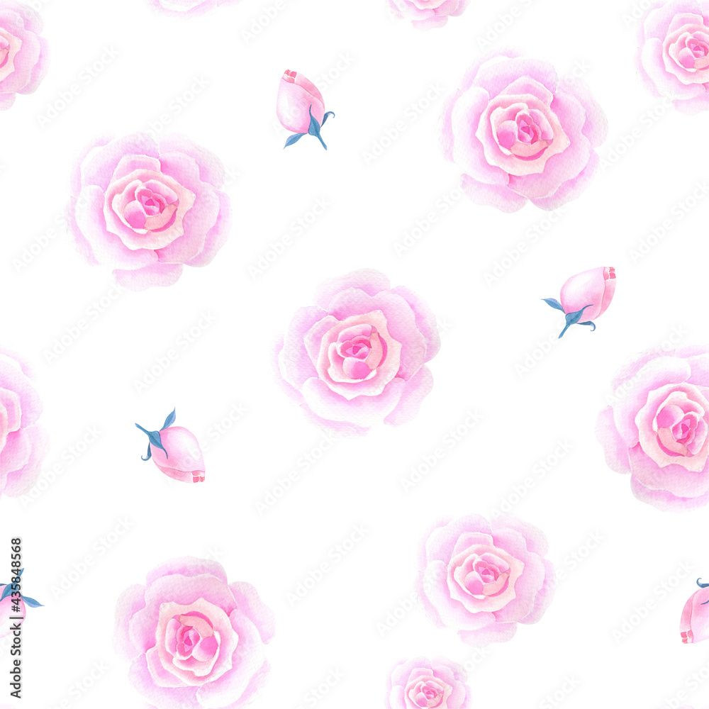 Watercolor gentle Pink roses rosebud botanical background Watercolor gentle Pink roses rosebud botanical background