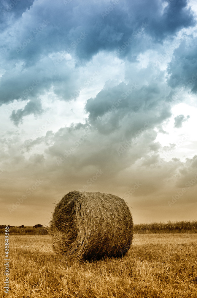 Hay bales in a field before a storm