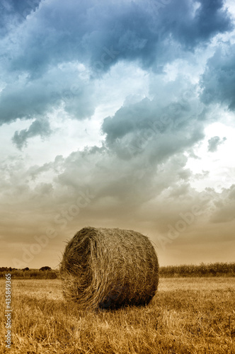Hay bales in a field before a storm