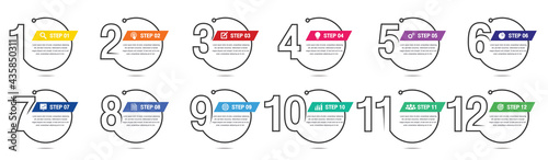 Business Infographic template with numbers 12 options or steps.