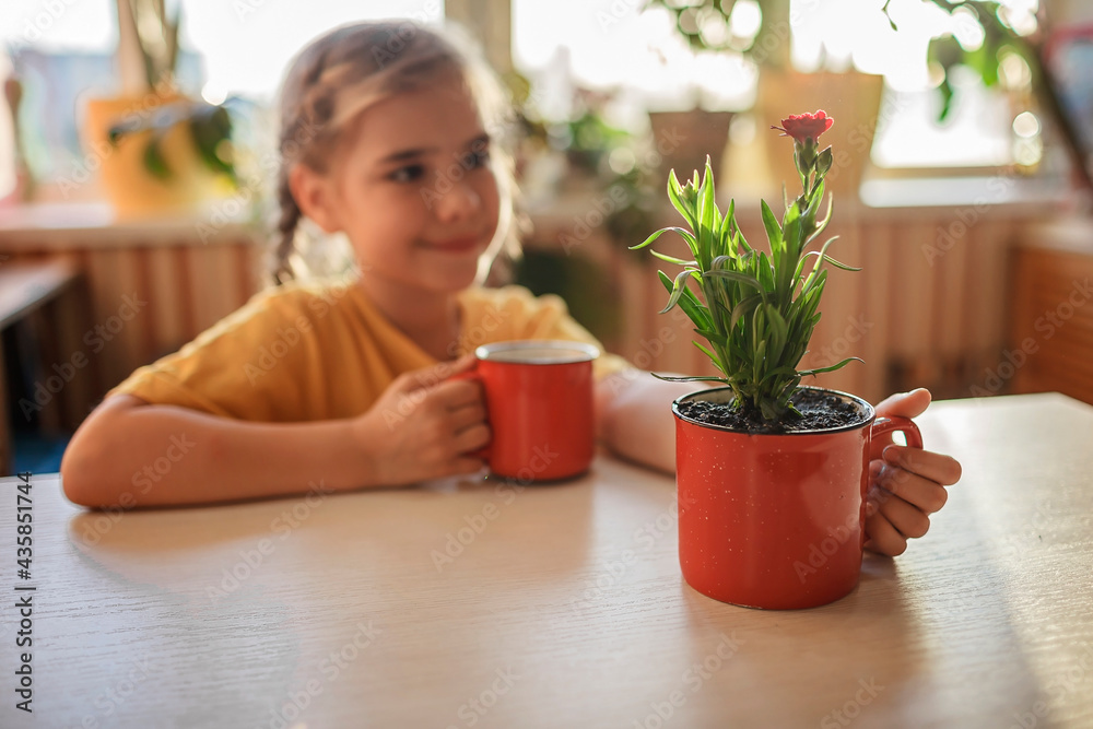 Preteen girl drinking coffee and enjoying green blooming flower replanted in usual red mug, home floral decor, home gardening and slow living concept, potted green plants at home Preteen girl drinking coffee and enjoying green blooming flower replanted in usual red mug, home floral decor, home gardening and slow living concept, potted green plants at home