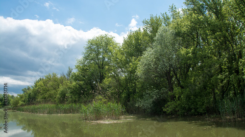 Beautiful swamp, nature reserve