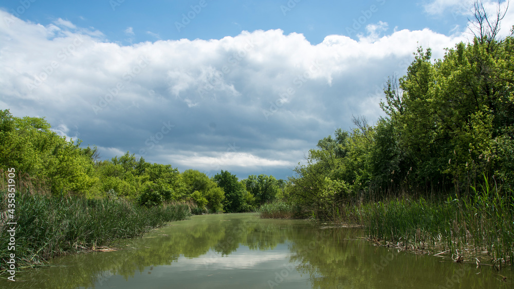 Beautiful swamp, nature reserve