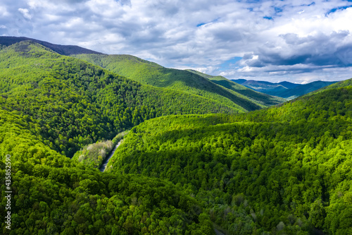 Carpathian mountains covered with beautiful green trees aerial panorama view.