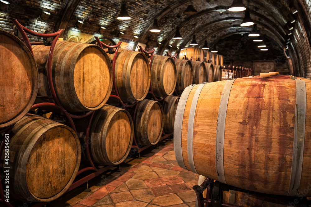 Wine barrels in wine-vaults in order