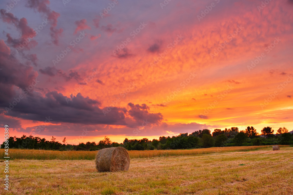 Hay bale field in colorful sunset