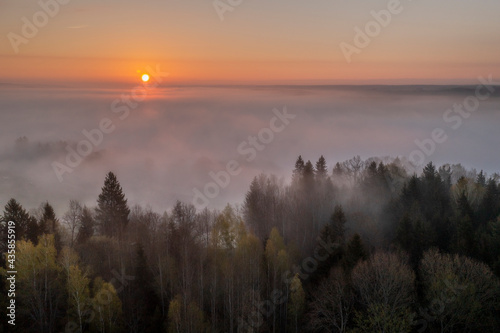 Sunrise above the spring forest