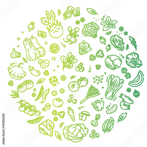 Vegetables doodle drawing collection. Vector illustration