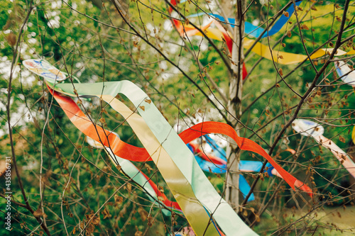Fotografía Wish tree with colored ribbons