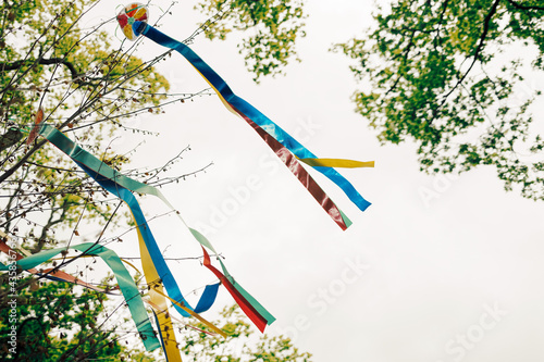 Bild auf Leinwand Wish tree with colored ribbons