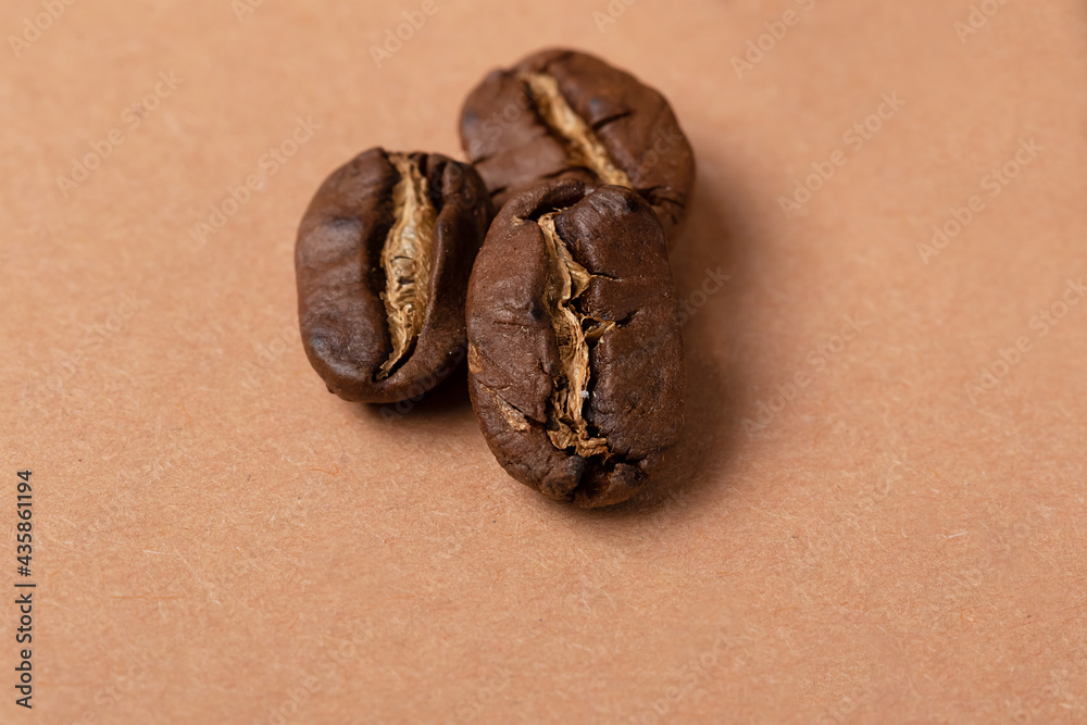 coffee beans close-up on a monochrome background. Freshly roasted grains coffee beans close-up on a monochrome background. Freshly roasted grains