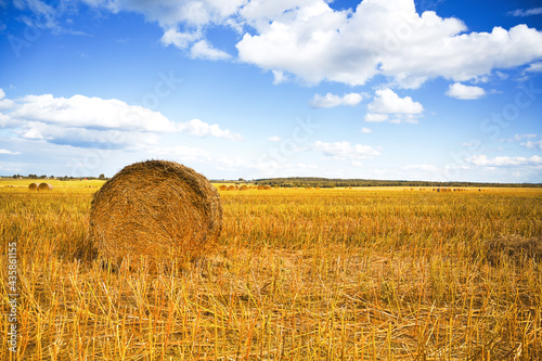 Banner with copyspace.Closeup of haystack on the meadow in summer . Harvest gathering concept. Rural landscape