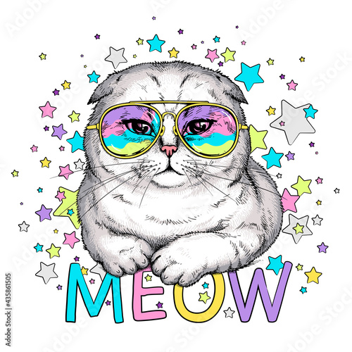 Scottish fold cat in sunglasses. Meow illustration.  Stylish image for printing on any surface	