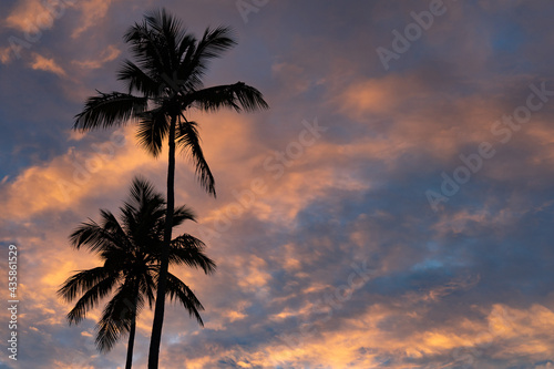 Tropical Sunset With Palm Tree silhouette with dramatic clouds. Destination and travel concept.