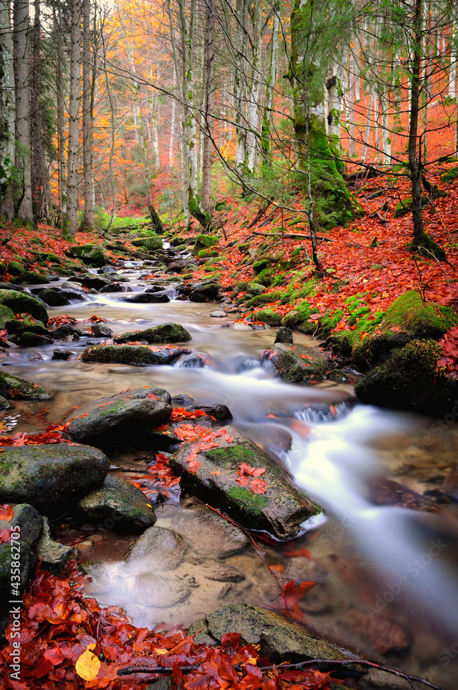 Autumn river in the mountains Autumn river in the mountains