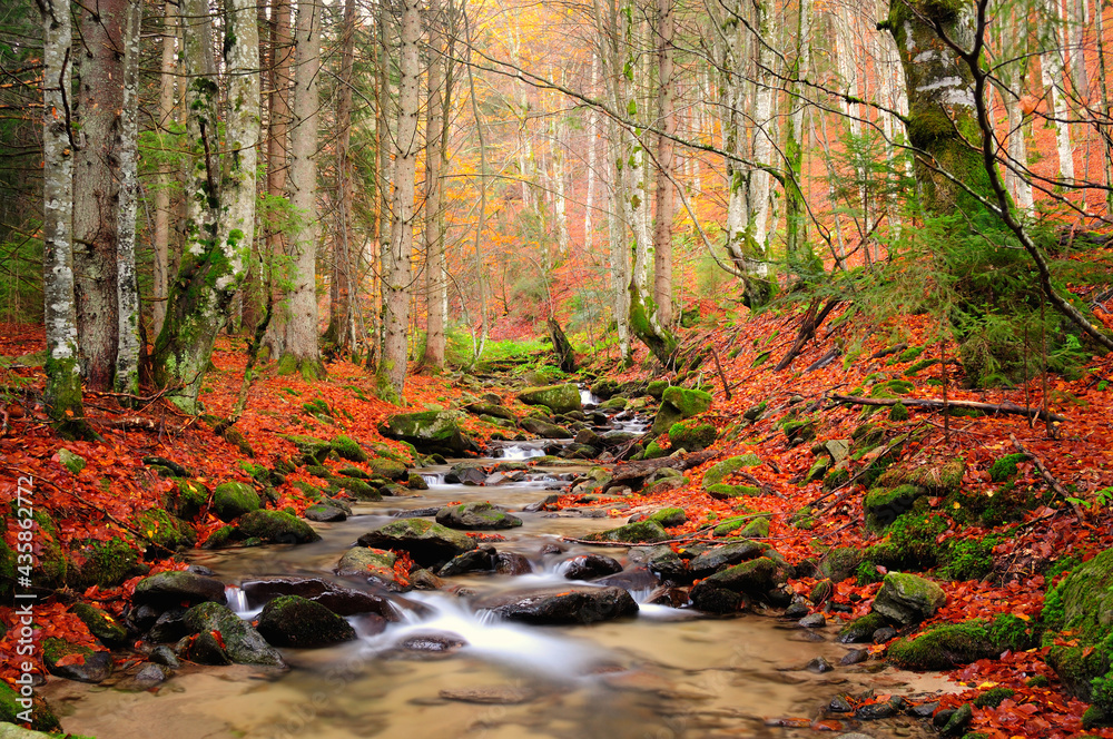 Autumn river in the mountains Autumn river in the mountains