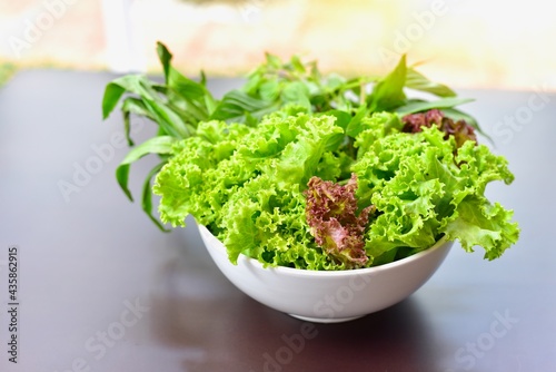 Bowl of Fresh Organic Vegetables Isolated on Table 