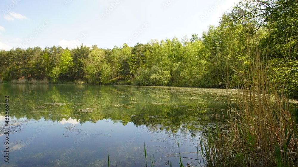 Natur See mit grüner landschaft