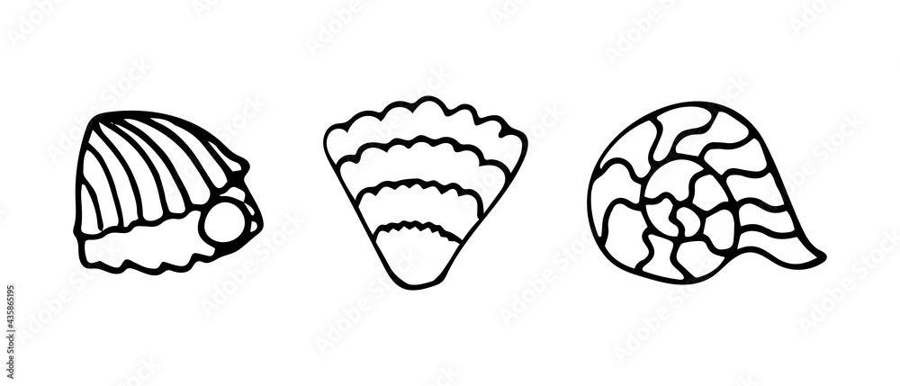 Set of vector illustrations of seashells. Doodle style. Illustrations for printing on textiles, coloring, children's topics. Set of vector illustrations of seashells. Doodle style. Illustrations for printing on textiles, coloring, children's topics.