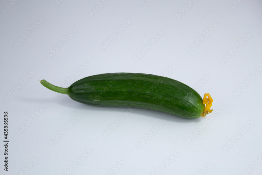 Fresh cucumber with yellow flower on white background. Fresh cucumber with yellow flower on white background.