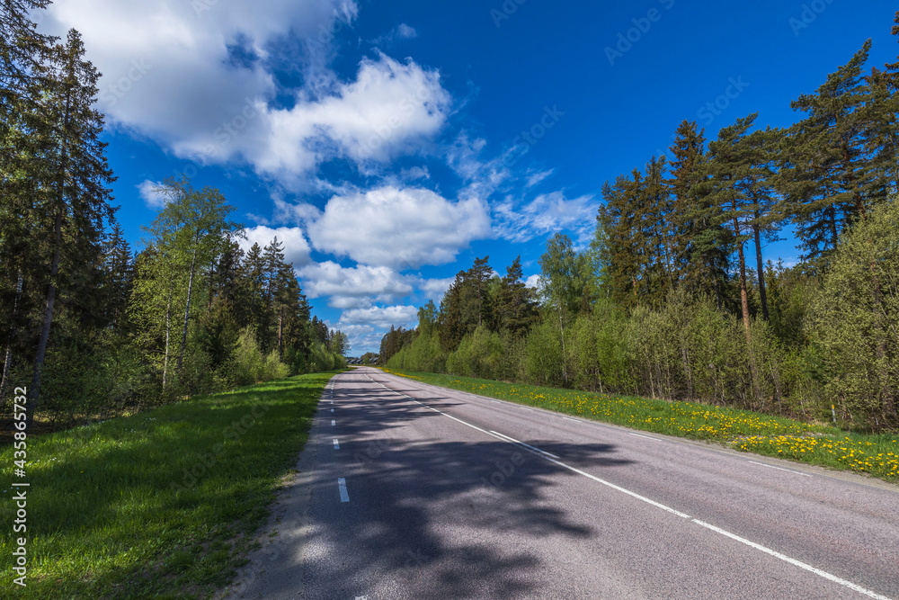 Beautiful nature landscape view on summer day. Green trees an asphalt road mergeing with blue sky. Sweden.