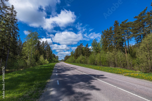 Beautiful nature landscape view on summer day. Green trees an asphalt road mergeing with blue sky. Sweden. © Alex