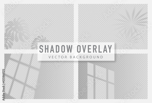 Shadow overlay effect. Transparent shadow of window. Vector illustration.
