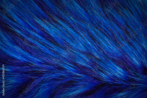 Fabric texture fur blue background.