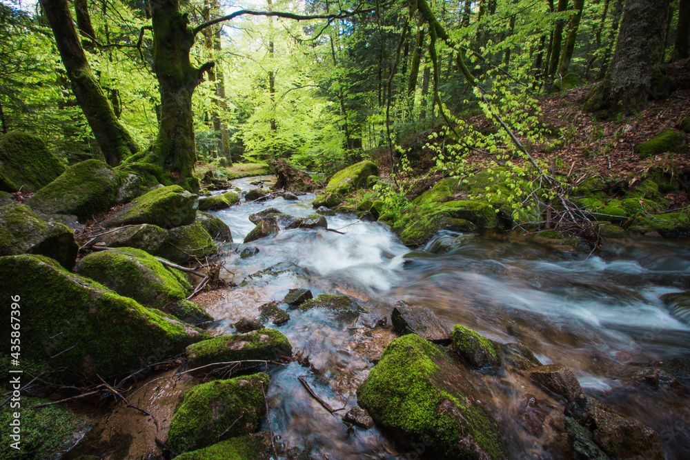La cascade du Rummel est une chute d'eau du massif des Vosges située sur la commune de Lepuix dans le territoire de Belfort. Très beau site naturel, frais, calme et reposant. La cascade du Rummel est une chute d'eau du massif des Vosges située sur la commune de Lepuix dans le territoire de Belfort. Très beau site naturel, frais, calme et reposant.
